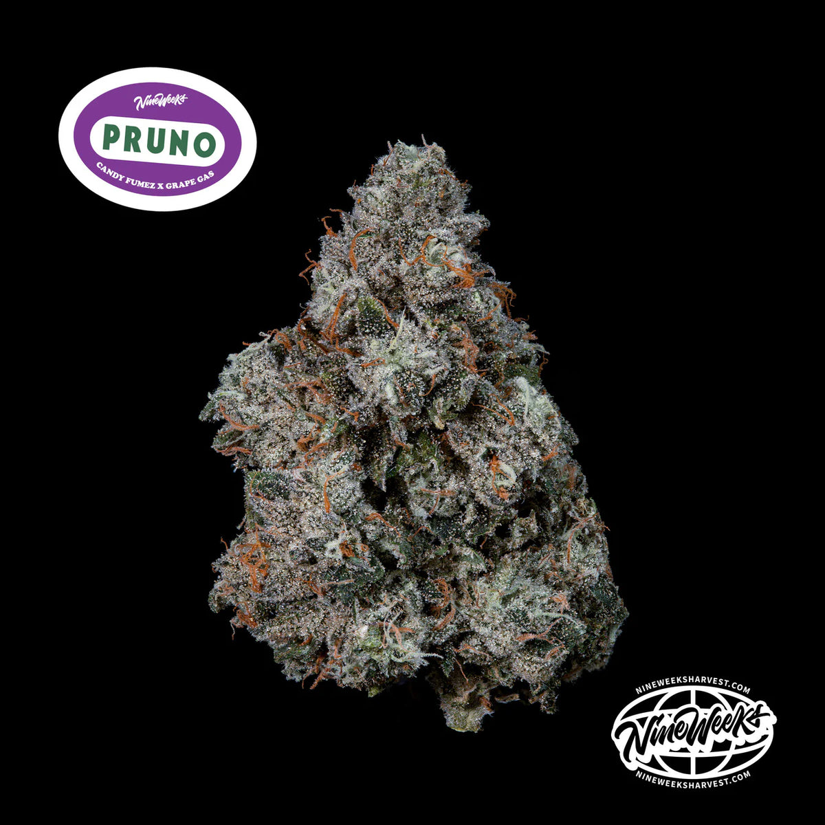 Pruno - Nine Weeks Harvest (Candy Fumez x Grape Gas)