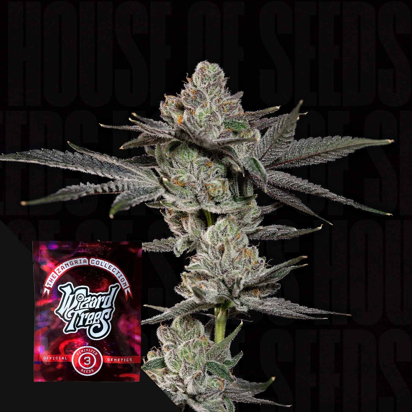 Wizard Tree - Z Nerds (Blue Nerdz x Zangria)