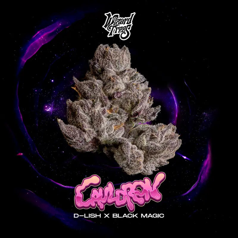 Wizard Tree - Cauldron feminisierte Cannabis Samen