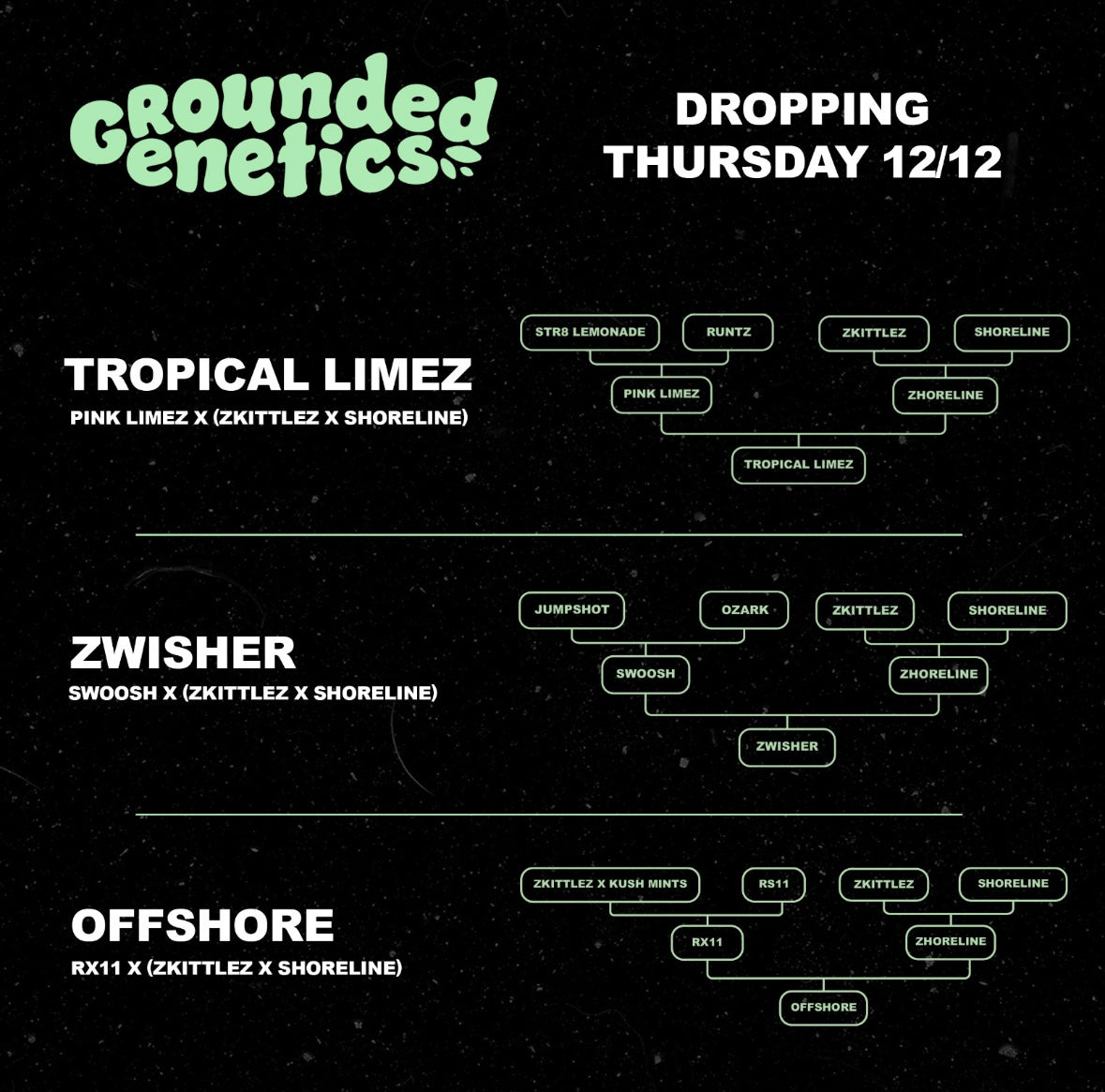 Grounded Genetics - Offshore