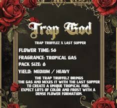 Trap God - Solfire Gardens