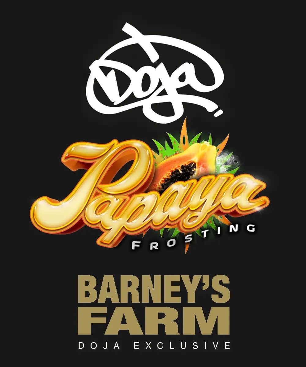 Papaya Frosting - Doja x Barneys