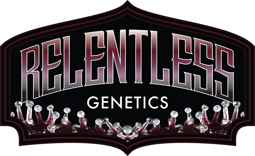 Trop Strawberry by Relentless Genetics, Feminisiert