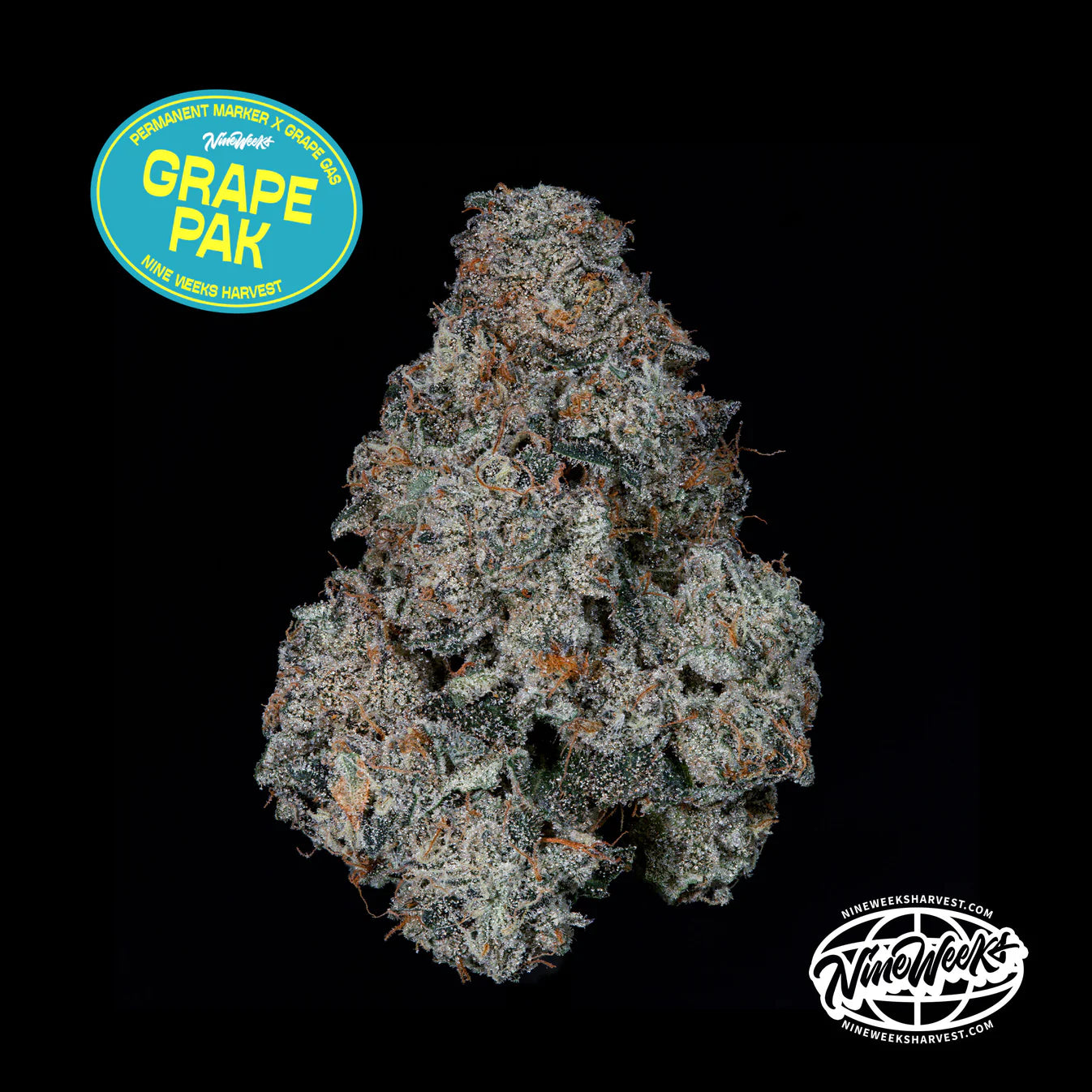 Grape Pak - Nine Weeks Harvest (Permanent Marker x Grape Gas)