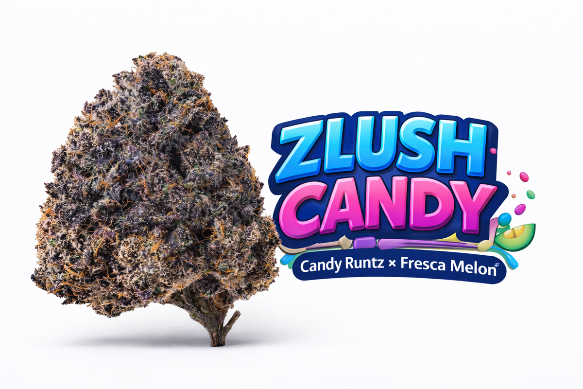 Candy Runtz Shake Zlush Candy - ( Candy Runtz x Fresca Melon) Gas Co. Genetics β Gas ...