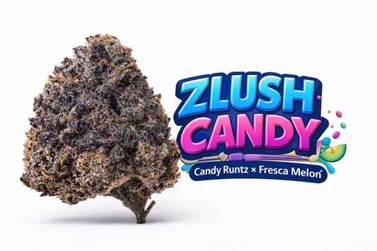 Zlush Candy - ( Candy Runtz x Fresca Melon) Gas Co. Genetics