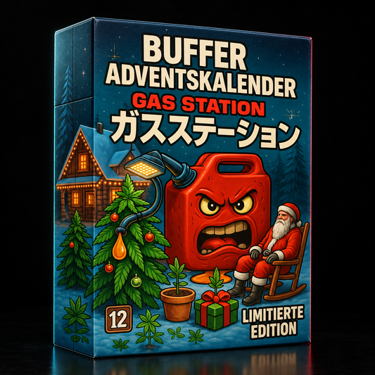 Seed Adventskalender