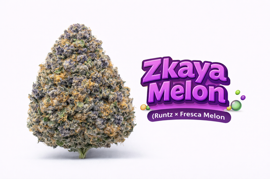 Zkaya Melon - ( Runtz x Papaya) x Fresca Melon) Gas Co. Genetics