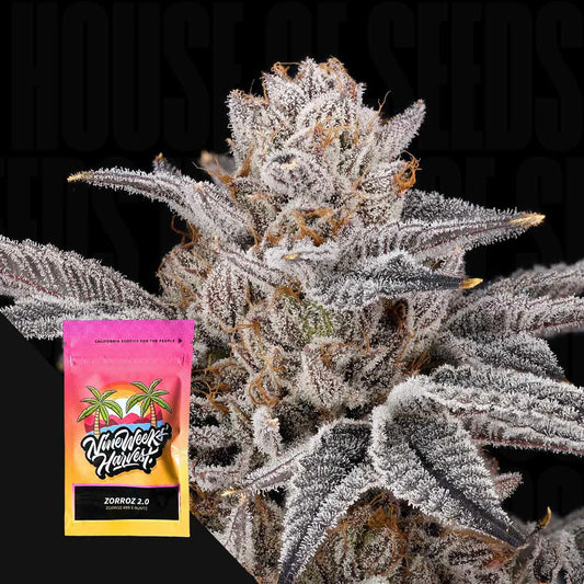 Nine Weeks Harvest - Zorroz V2
