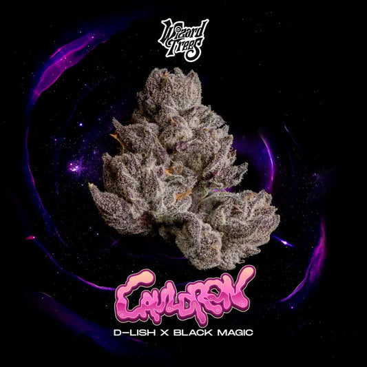 Wizard Tree  - Cauldron feminisierte Cannabis Samen