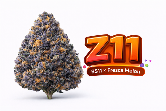 Z11 - (RS11x Fresca Melon) Gas Co. Genetics LTD.