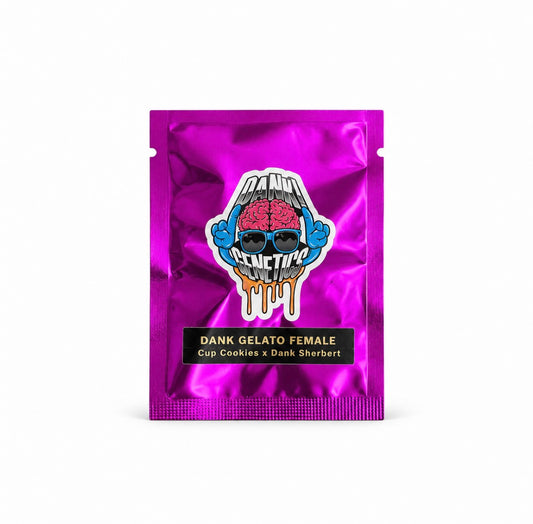 Dank Genetics - Dank Gelato