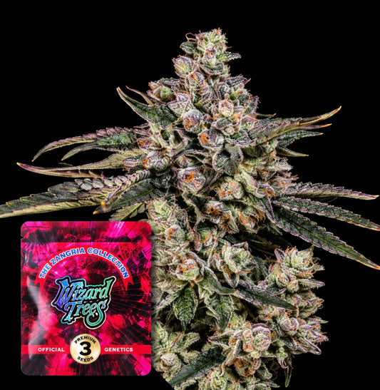 Wizard Tree - British Delight