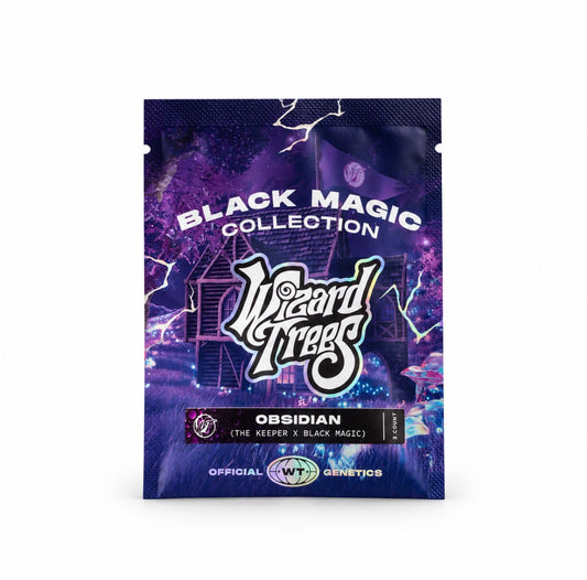 Wizard Tree - Obsidian feminisierte Cannabis Samen