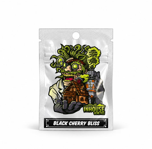 Black Cherry Bliss - Inhouse Genetics