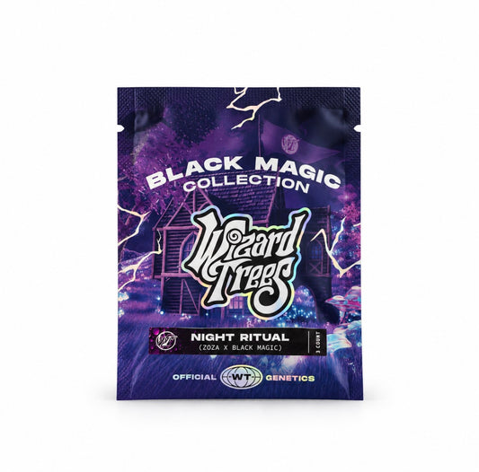 Wizard Tree  - Night Ritual feminisierte Cannabis Samen