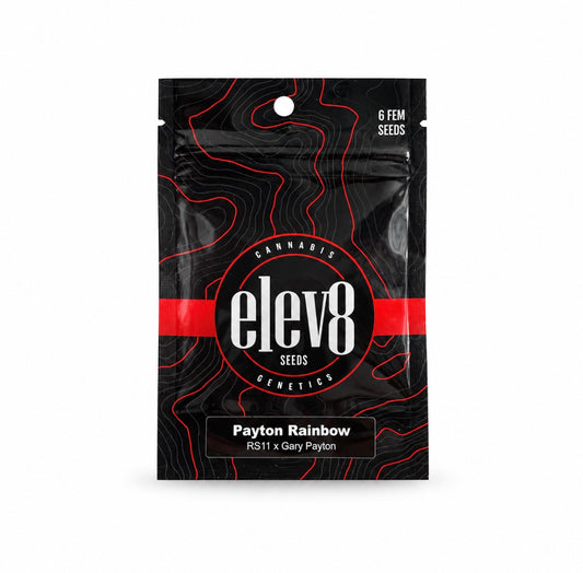 Elev8 Seeds - Payton Rainbow