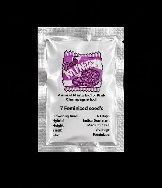 Conscious Genetics - Pink Mintz