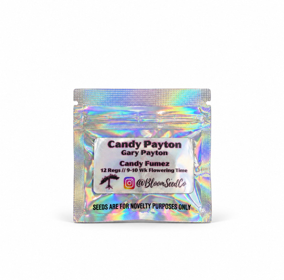 Bosten Roots - Candy Payton