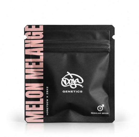 Doja Genetics - Melon Melange