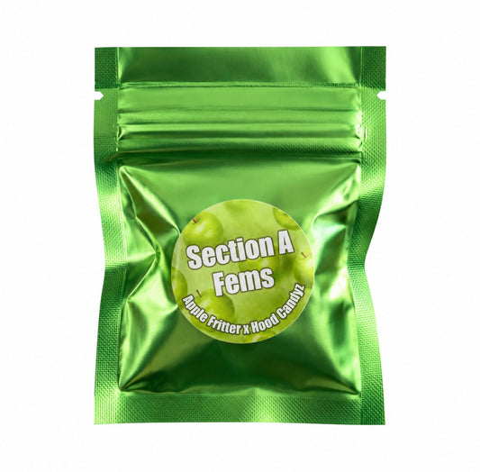 Solfire Gardens - Section A