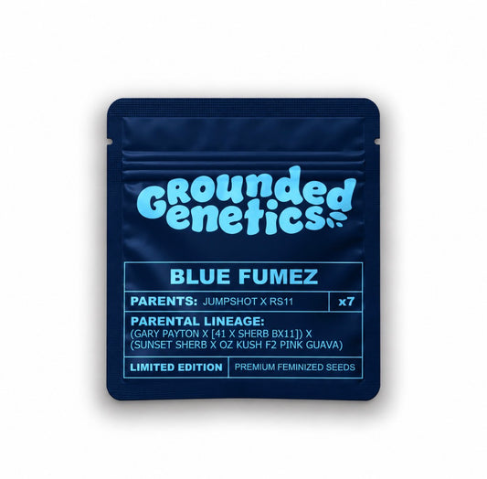 Grounded Genetics - Blue Fumez