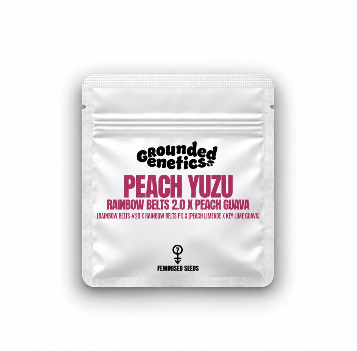 Peach Yuzu (Rainbow Belts 2.0 x Peach Guava) Grounded Genetics