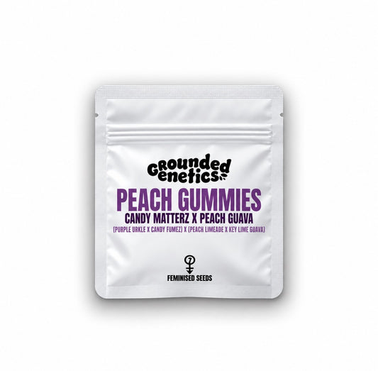 Peach Gummies (Candy Matterz x Peach Guava ) Grounded Genetics