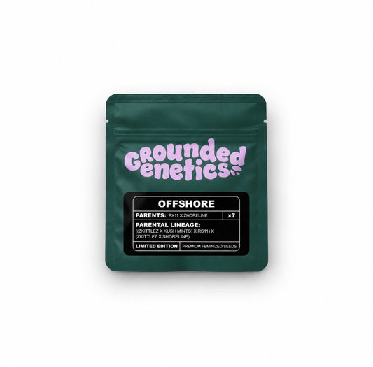 Grounded Genetics - Offshore
