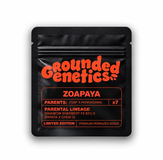 Grounded Genetics - ZOAPAYA (Zoap x Papayadawg)