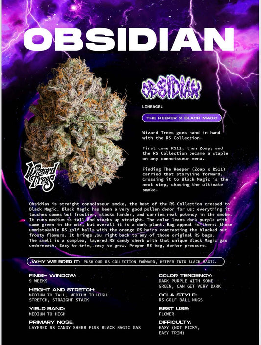 Wizard Tree  - Obsidian feminisierte Cannabis Samen