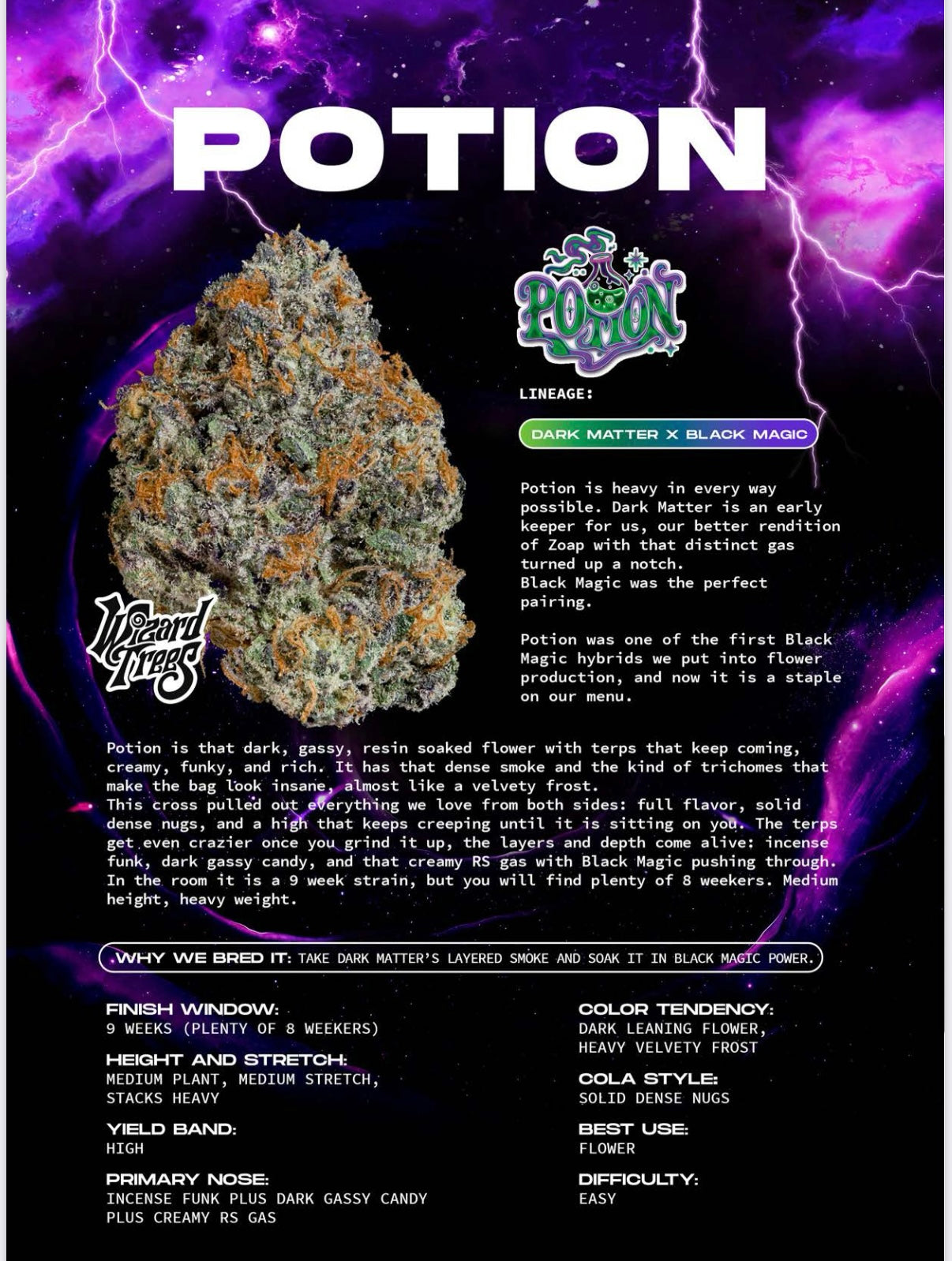 Wizard Tree  - Potion feminisierte Cannabis Samen