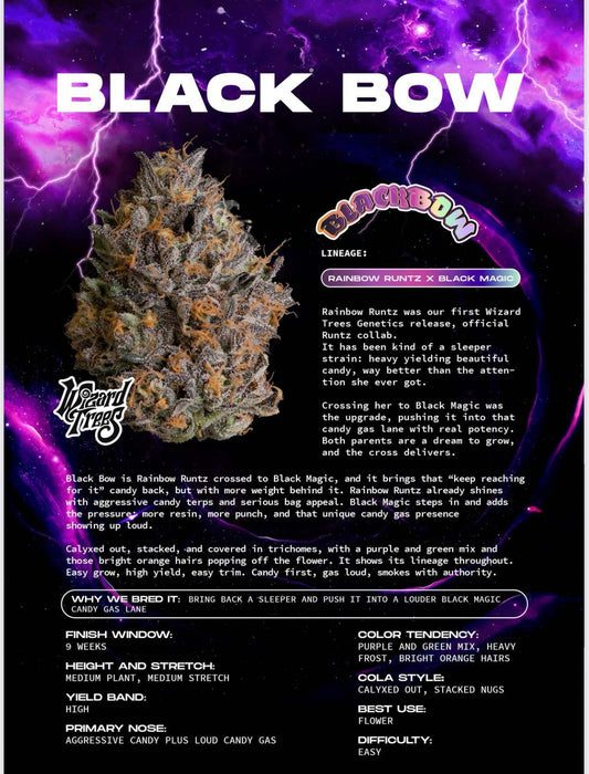 Wizard Tree  - Blackbow feminisierte Cannabis Samen