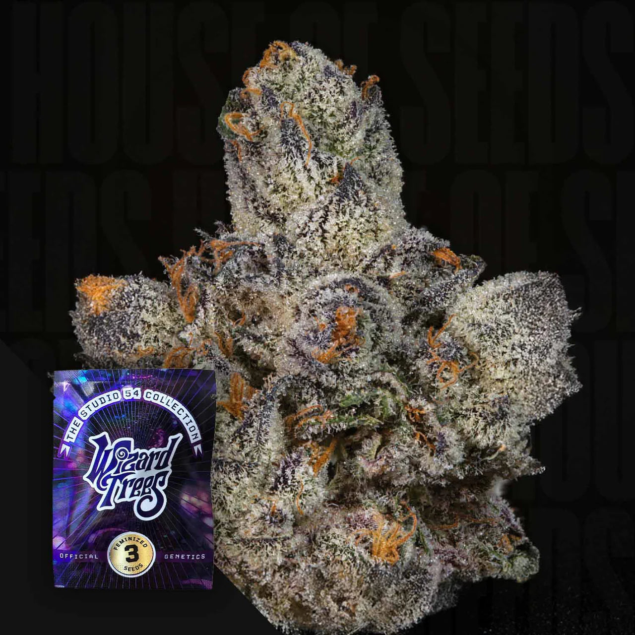 Wizard Tree  - Lemon Fever