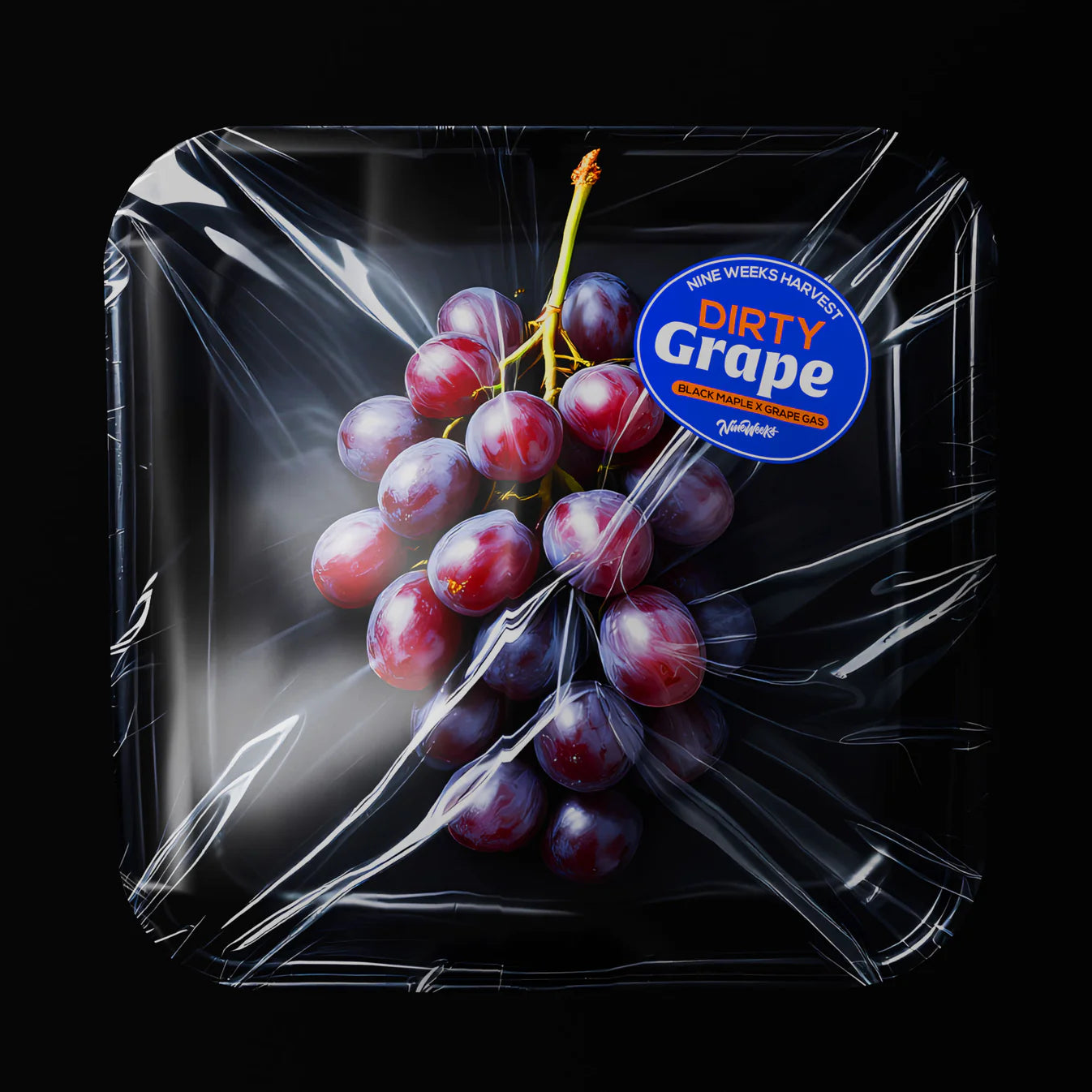 Dirty Grape - Nine Weeks Harvest (Black Maple x Grape Gas)