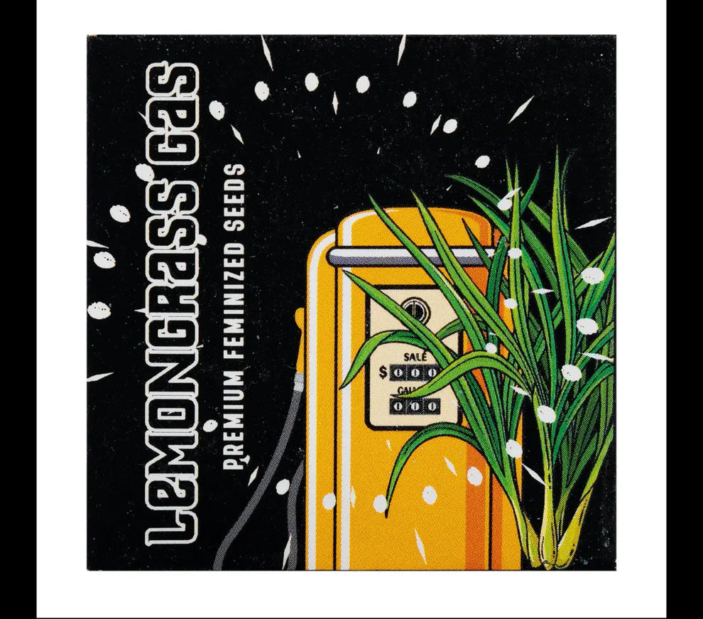 Doja - Lemongrass gas (GELONADE)